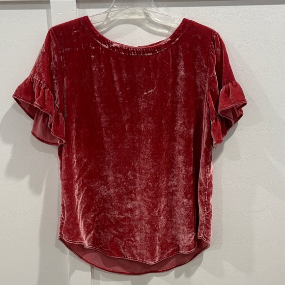 LOFT Tops - Loft Velvet Ruffle Sleeve Top - Pink